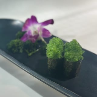 Wasabi Tobiko / Wasabi Caviar Nigiri